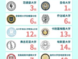 掌握宝贝技能精髓：释放独特技能，制胜关键