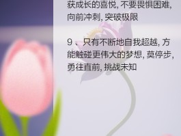 突破自我极限：勇闯魔力宝贝挑战关