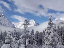 探险神秘境地：开启未知领域的壮丽冒险