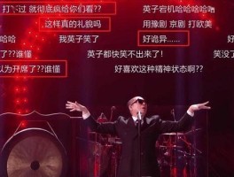 魔法领域活动策划：共享欢乐时光