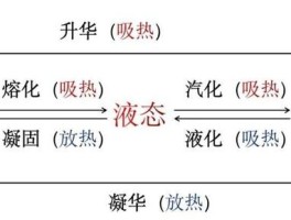 知识的宝库：魔力百科网揭开神秘的面纱