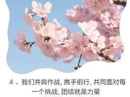 团结合作之道：与好友并肩作战，共创辉煌