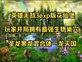 《魔力宝贝》八学者过黑龙巢穴深渊纪念